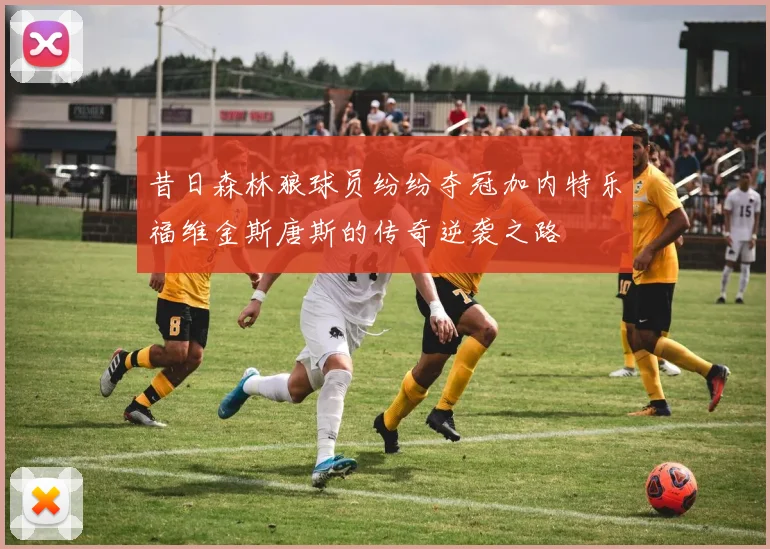 昔日森林狼球员纷纷夺冠加内特乐福维金斯唐斯的传奇逆袭之路