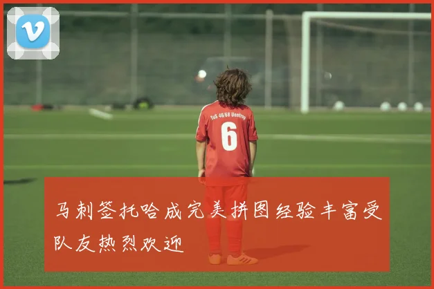 马刺签托哈成完美拼图经验丰富受队友热烈欢迎