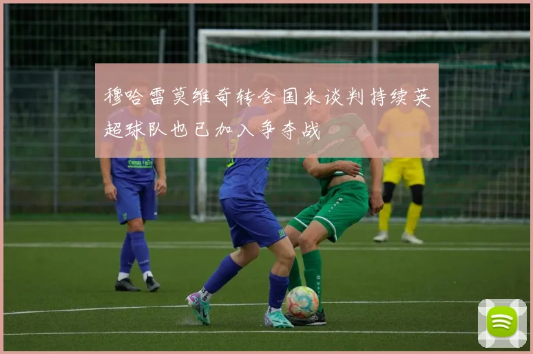 穆哈雷莫维奇转会国米谈判持续英超球队也已加入争夺战